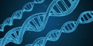 <2017-JP>  Firm Ranking of the number of Japanese granted patents in the Biotechnology field in 2017