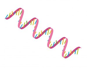 <2017> Patent list of top-ranked applicant (RNAi and/or miRNA field)